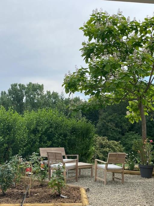 Logement Entier De Charme, Gite Equestre Gers Flamarens Exterior foto